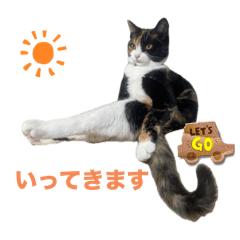 sumi&hana_20240919201649