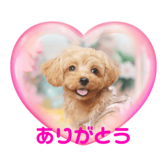 nanairo_20240919222108