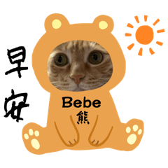 呆呆喵喵bebe