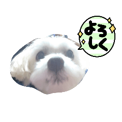 犬ミッキーのスタンプ