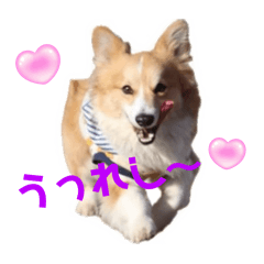ちょいフラえ〜す♡第２弾だよ〜
