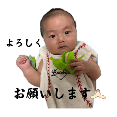 strawberry_20240920135223