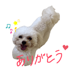 kiika_20240920140941