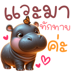 หมูอ้วน ฮิปโปน่ารัก แวะทักทายกันหน่อย