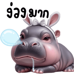 Hippo Moo Dui Cute