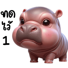 Hippo Moo Dui Cute 2