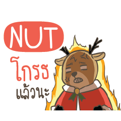 NUT Sugar Little Reindeer e