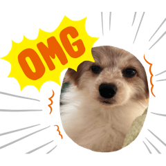 haruuta_20240921151955