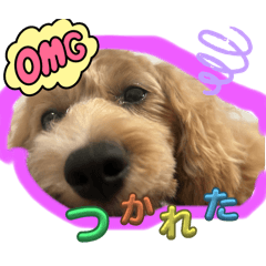 haruuta_20240921100809