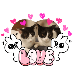 ogakoh_20240921101403