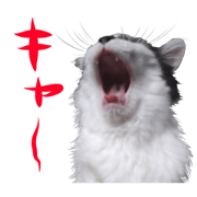 Otsuyumehachi