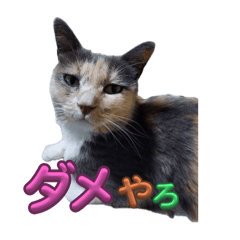 sumi&hana_20240921222055