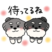 Teo&Juno_20240921222945
