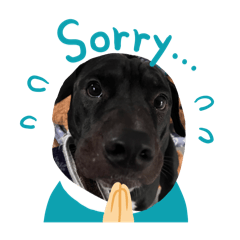 TIK TIK WD shop_20240922083321