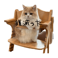 Kabochaaa_20240922002547