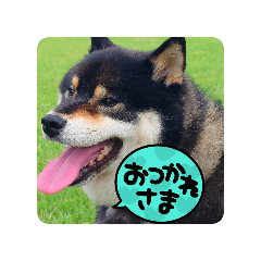 KUROTARO_20240922134902