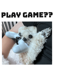 Kendy_20240920114441