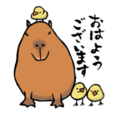 Cute  Japanese Capybaras