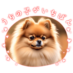 Cute Pomeranian Sticker 01