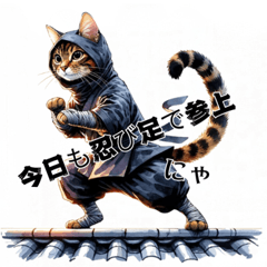 Ninja Cat Stickers for Everyday Fun