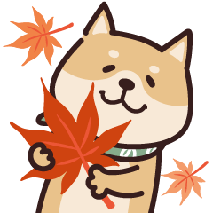 Shiba Inu Common Phrases