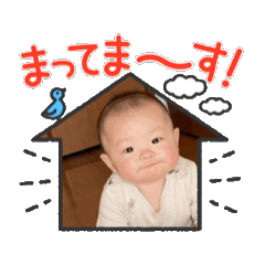 akamiso_20240922162955