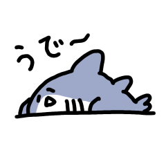 Chill Shark