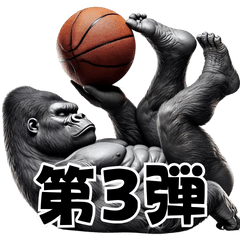 Gorilla x Basketball Vol.3