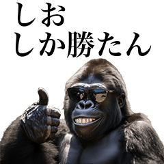 [Shio-] Funny Gorilla stamps to send