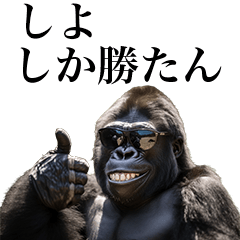 [Shiyo-] Funny Gorilla stamps to send