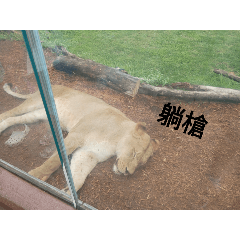 哈哈哈哈哈哈哈哈哈哈哈嗄