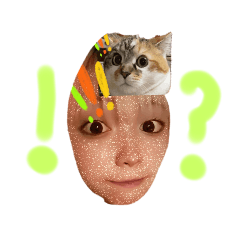 kokoko_20240922023442