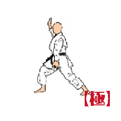 Moving karate kata 1