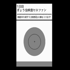 動くぎょう虫検査セロファン