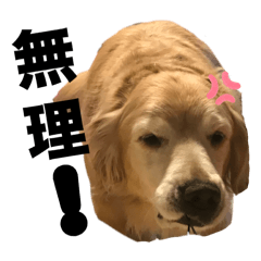 nanamiruku2