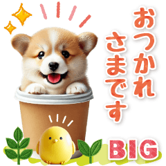 kizukai keigo corgi [BIG]