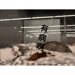 黑王