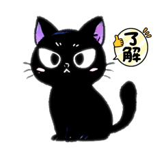 黒猫　日常使い