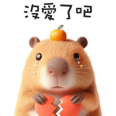 super cute capybara4