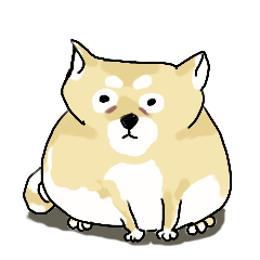 Old Shiba