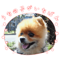 CHAMOKO_20240922144818