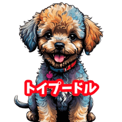 Tiny Toy Poodle Pups: Cute Expressions2