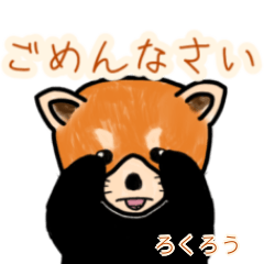 Rokurou's lesser panda