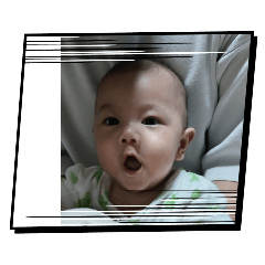 force_20240923110035