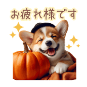hanamomo_20240922123701