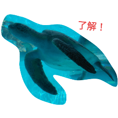 yutodao_20240923100041