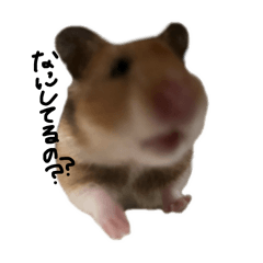 ua_20240923012610