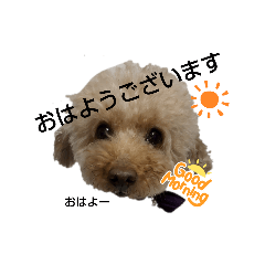 Mayumi.Kuyama_20240923125750