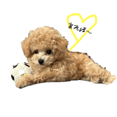 meito_20240923113405