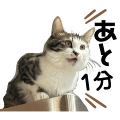 I'm Moon from street